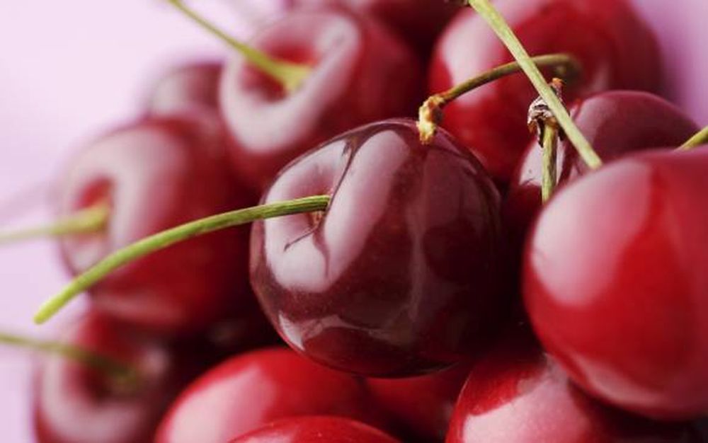 Exquisitas redondeces