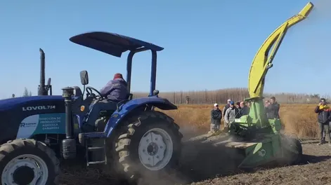 Diario de Cuyo | dcc210723 005f02_crop1689895526830 728x547.webp