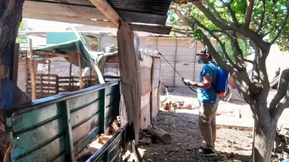 Intensifican la fumigación contra chagas