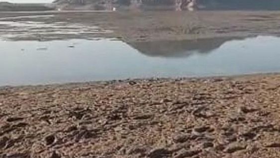 Riego en noviembre: Hidráulica quiere cortes, pero que salgan por consenso