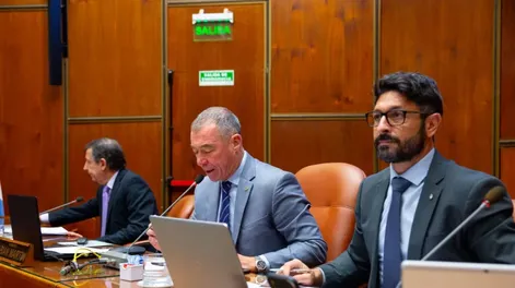 Sin sorpresas, el oficialismo (bloquismo incluido) y un sector del peronismo acompañaron a Baigorrí: los votos