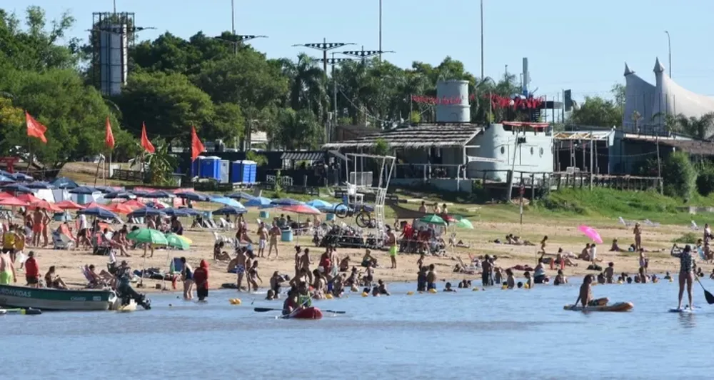 Ataque de palometas en la Costanera Este: hubo 15 víctimas en 3 días