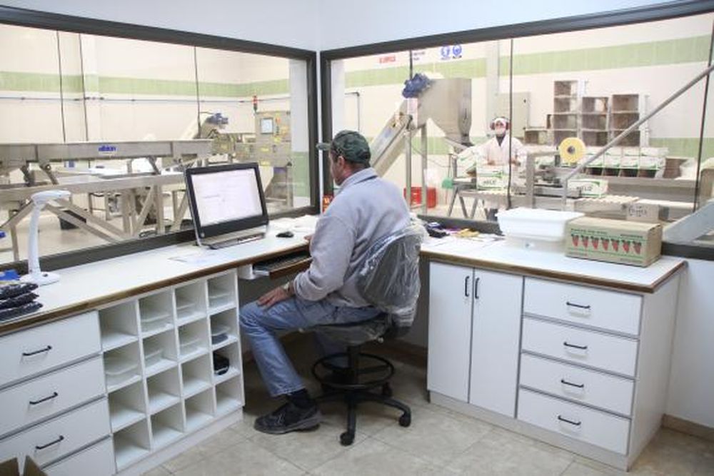 La pasa tiene buen volumen y calidad, pero con altos costos