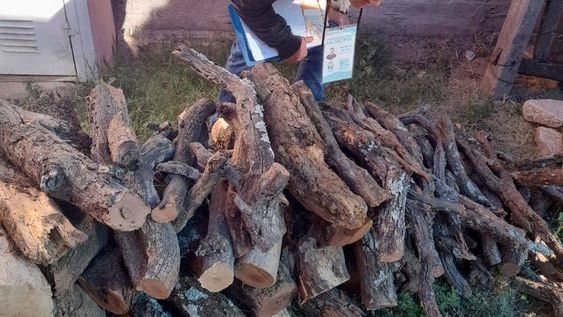 El municipio de Valle Fértil arrancó con la Campaña Chagas 2026 con visitas a domicilio para tareas preventivas.