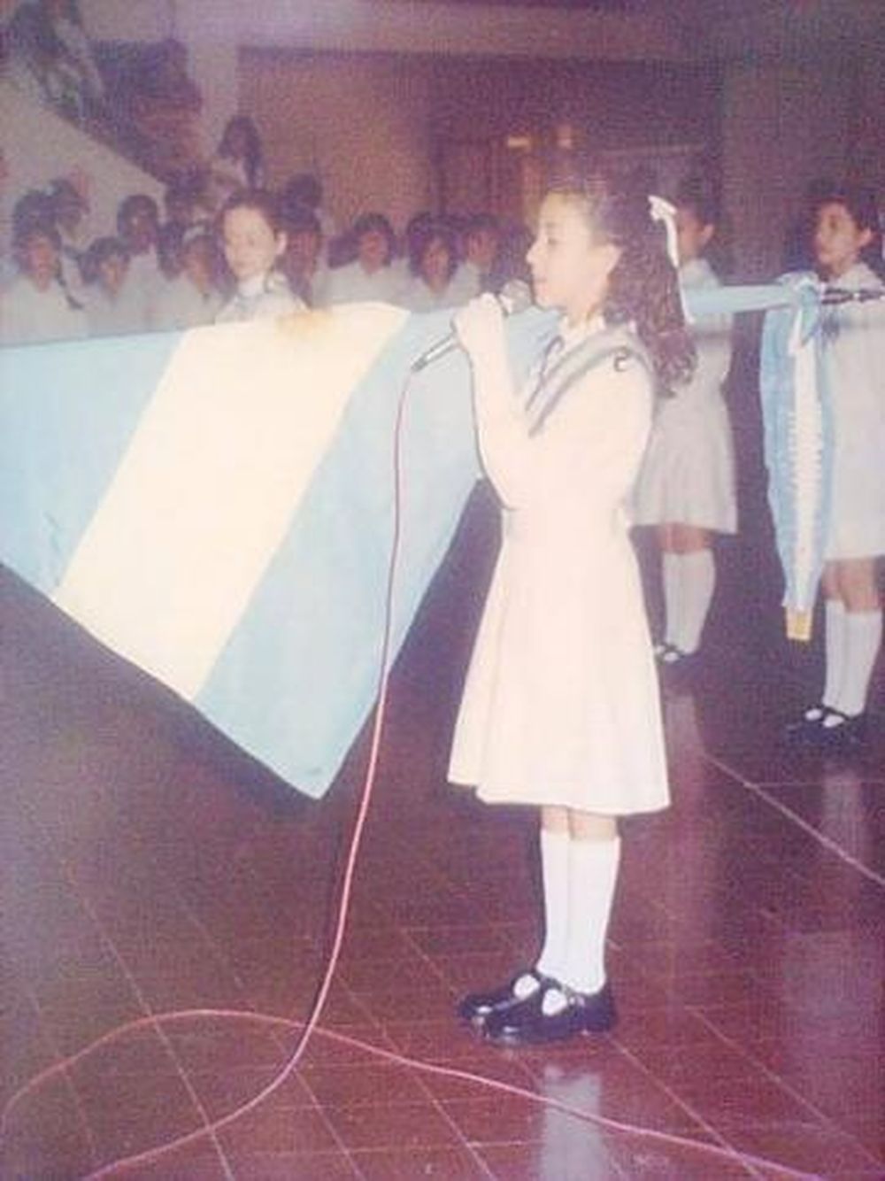 Es la bandera de la Patria mía…