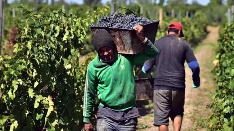 El detalle del pedido de los viñateros a Orrego en la reunión en Casa de Gobierno