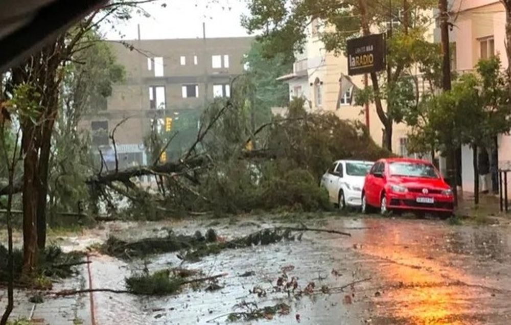 Inundaciones, destrozos y caída de árboles: lo que dejó la tormenta que azotó el AMBA