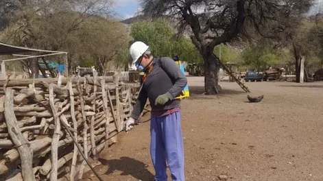 Diario de Cuyo | Los operativos de fumigación contra la vinchucha, en Valle Fértil, se centran especialmente en la zona más rural.