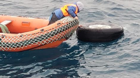 Siembra con aviones crece 40%