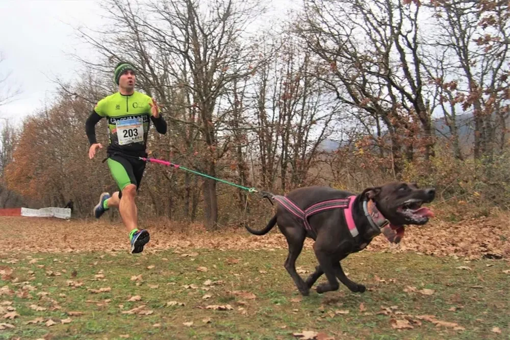 El “Canicross” ya es tendencia y crece a nivel mundial