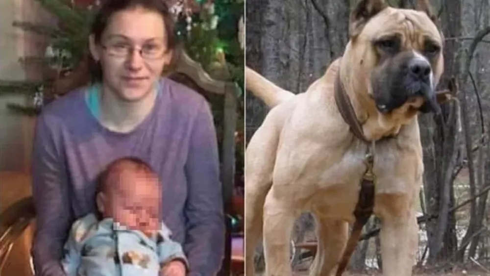 Una mujer salvó a su hijo del ataque de un pitbull y murió por las heridas