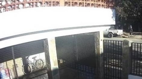 Sangre en camioneta de César Sena