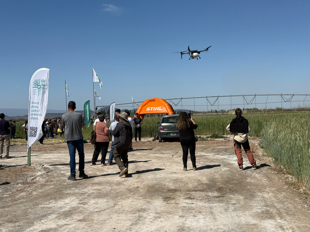 El dron agrícola XAG P150 Max, en pleno vuelo durante su demostración de pulverización aérea en el predio de Pocito.