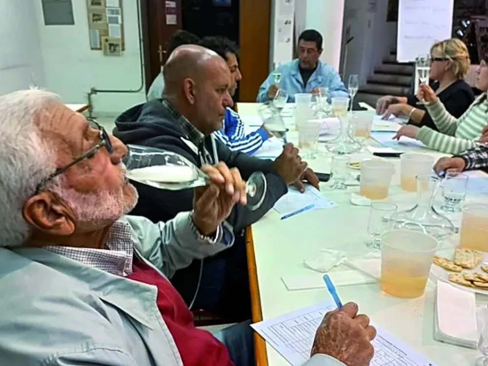 Finalizaron degustaciones de las muestras de XXXIV Cata de Vinos