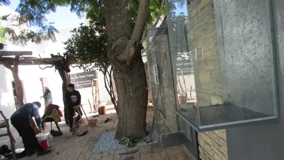 Nexo entre el pasado y el presente