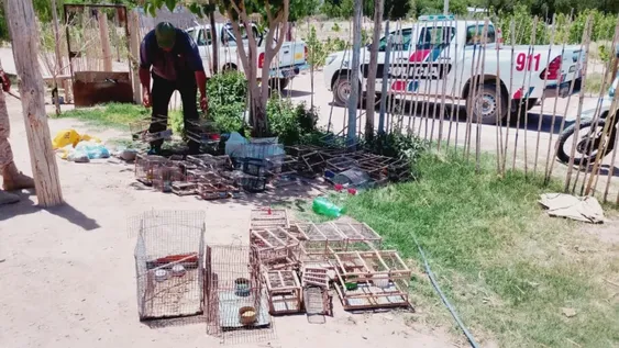 Detuvieron a dos sanjuaninos con 36 aves autóctonas en Sarmiento