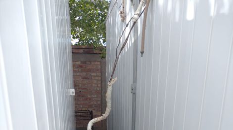 Rawson: frustran robo en una escuela; los detenidos, de 18 y 20 años