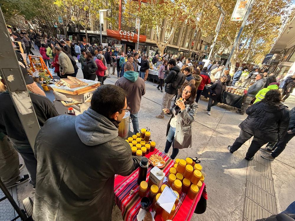 Este miércoles se realizó una feria por el Dia Mundia de la Abeja donde la miel fue la protegonista.