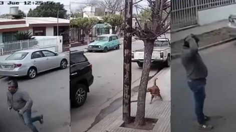 [VIDEO] Un perro arrancó la camioneta de su dueño y provocó un choque