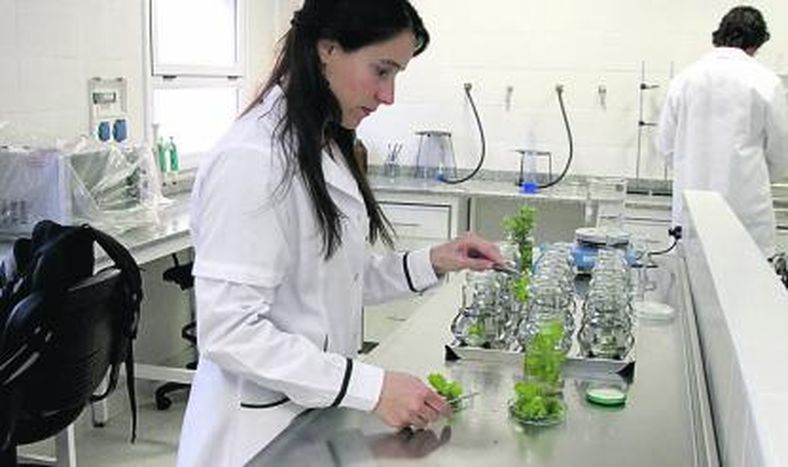 Inauguran la etapa I de los laboratorios del Insemi local