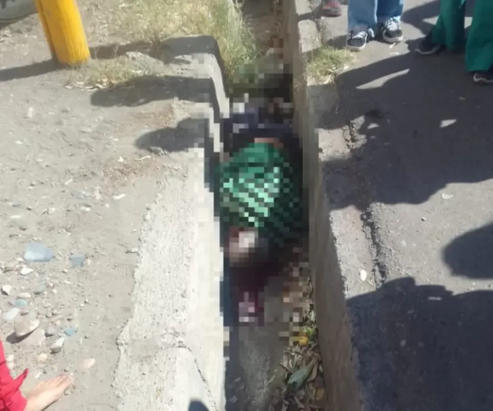 Un anciano iba en bicicleta, lo atropelló un colectivo, terminó en la acequia y está grave