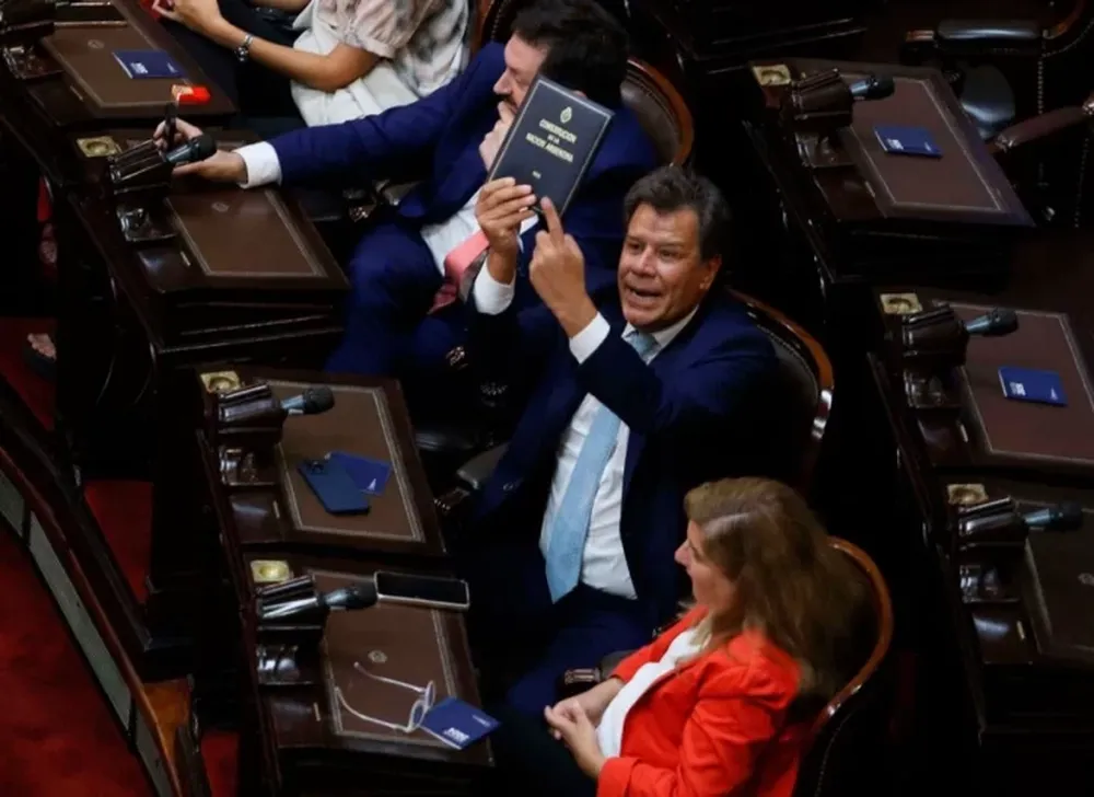 Momento en que Facundo Manes mostró la Constitución Nacional