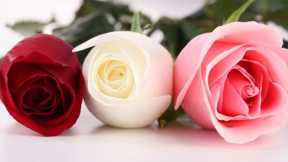 Desde el oficialismo de Caucete creen que la intendenta podría volver a trabajar el viernes