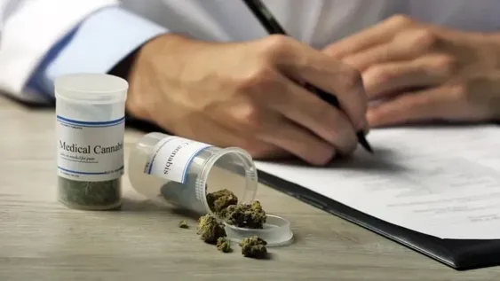 Lanzaron una nueva diplomatura sobre usos medicinales del cannabis en la UNSJ