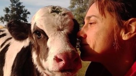 Los tambos sanjuaninos tienen un gran nicho entre las delicatessen