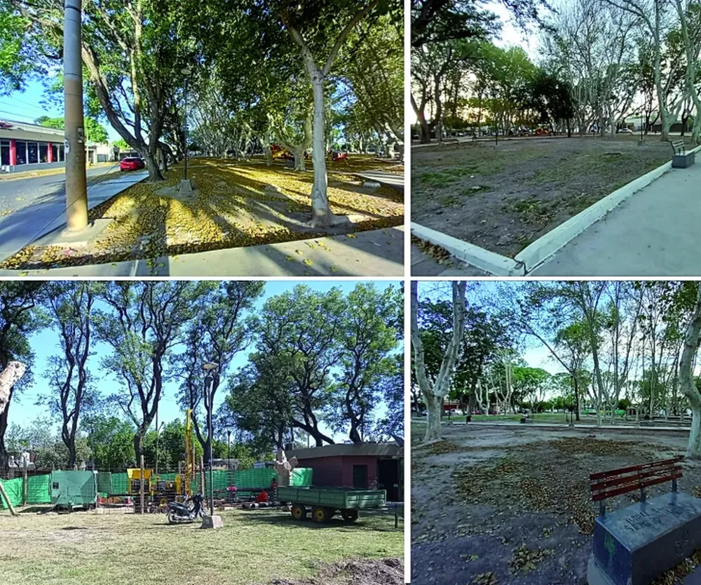 Elaboración campaña 2021