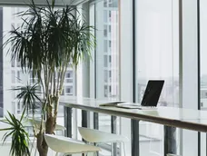 Plantas que inspiran Plantas que inspiran