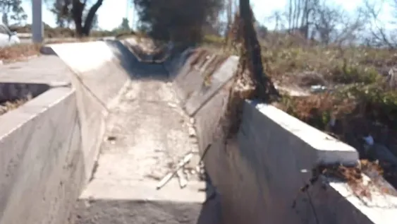 En el agro local tienen dudas de cuánto sembrar por la incertidumbre en el sector