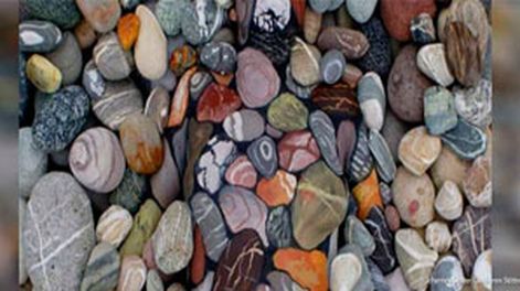 ¿Qué ves entre estas rocas?