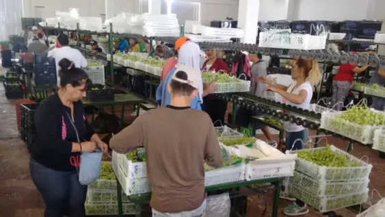 Están en duda operaciones de venta de vino a granel y de mosto a Rusia por el conflicto