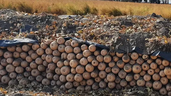 Guardar para el invierno