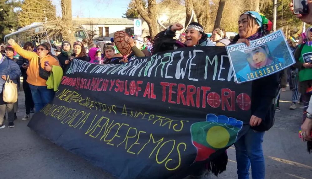 Miles de mujeres y diversidades marcharon por sus derechos en el 36 Encuentro Plurinacional