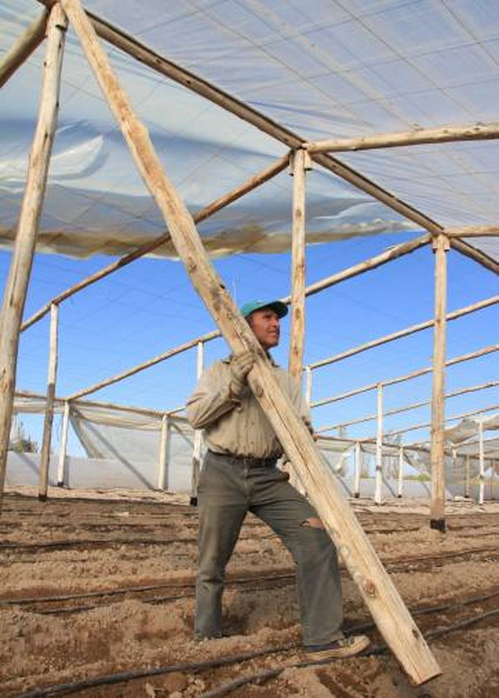 Las chacras fueron lo más afectado tras el fuerte viento