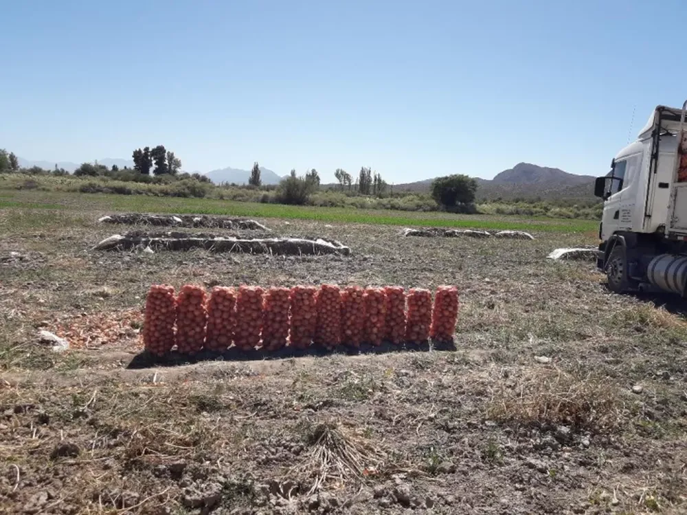 ¿Extinción chacarera?