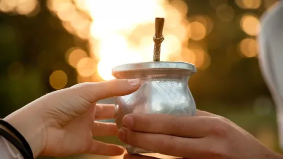 Los 7 beneficios de tomar mate