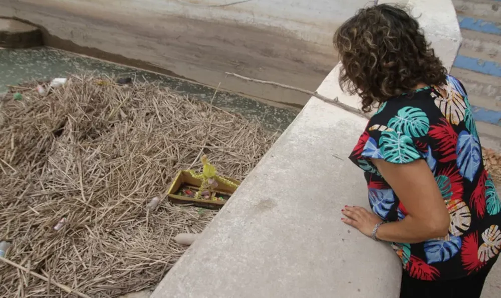 Espanto por los gualichos que flotan sobre las aguas del dique San Emiliano