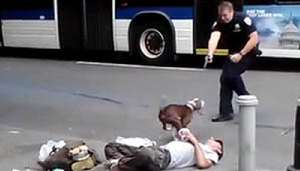 Policía baleó a un perro que protegía a su dueño