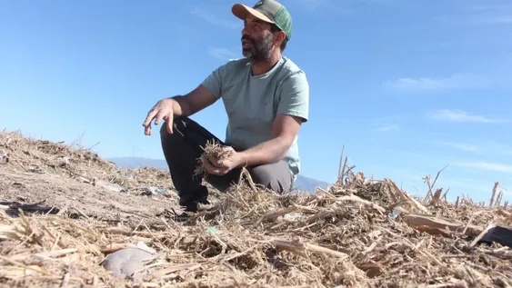 ECOLÓGICO. La madera de la poda pasa por una molienda y luego le agregan materia orgánica fresca. En 3 meses se logra un compost de alta calidad.