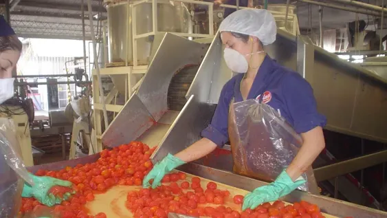 En el sector industrial ya se mueven 105 fábricas y unos 5.000 trabajadores