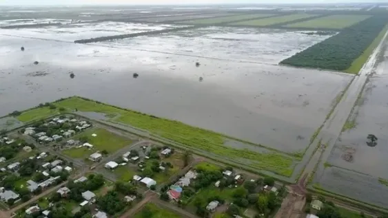 Emergencia agropecuaria en cuatro provincias por las inundaciones
