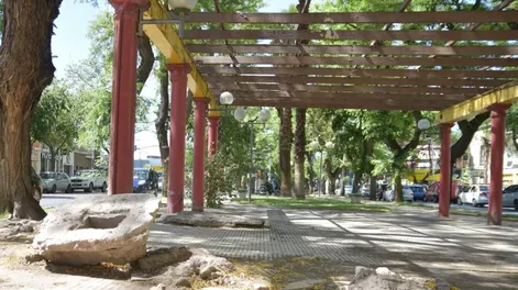 Diario de Cuyo | dcc161222 004f07_crop1671145088214 728x547.webp
