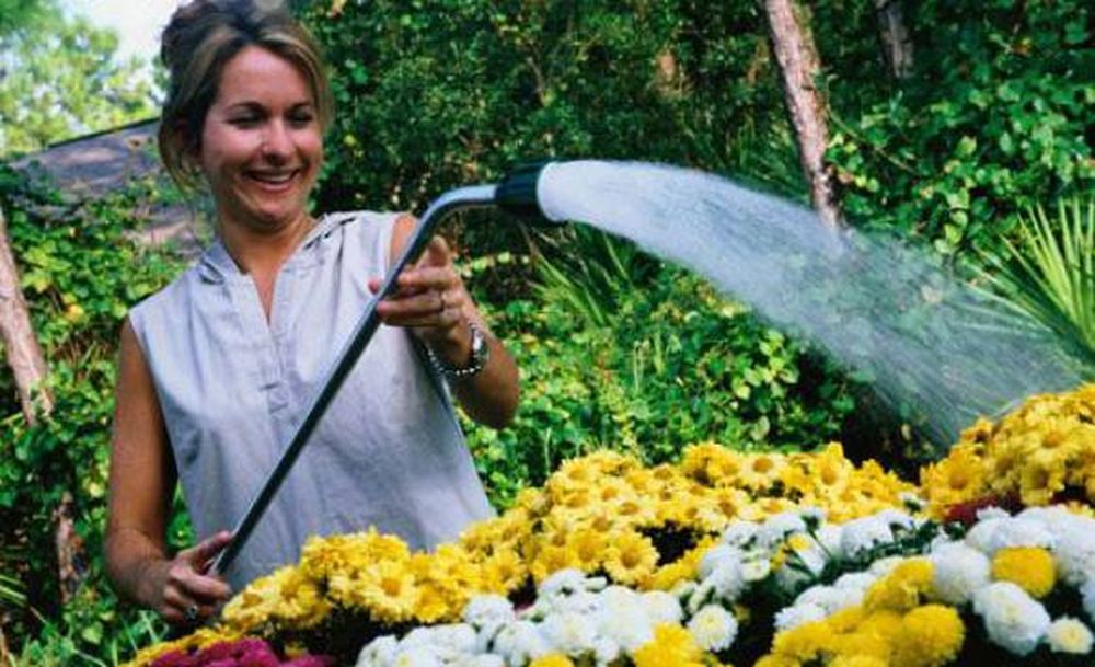 Las plantas y las vacaciones