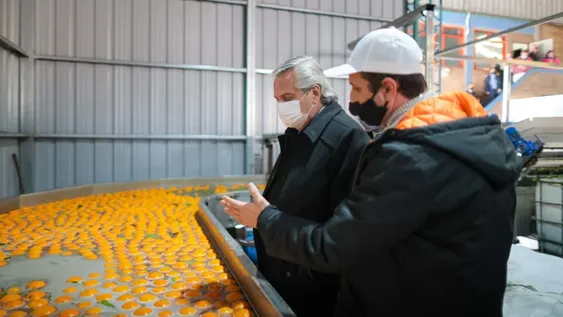 Peones rurales podrán trabajar en blanco sin perder planes sociales