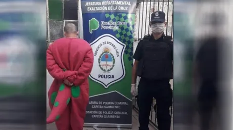 Detuvieron a un hombre que se disfrazó de Barney para romper la cuarentena