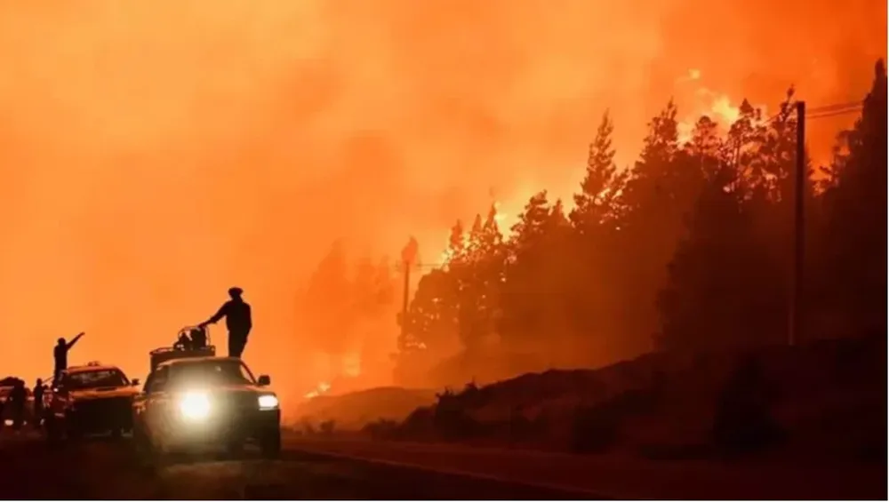 Más de 40 mil hectáreas fueron arrasadas por el fuego.