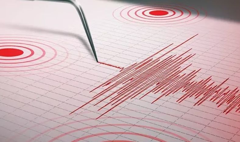 Temblorazo de madrugada en Calingasta despertó a los sanjuaninos: el detalle